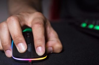 Tipos de Pegadas de mouse:  Descubra a sua e as melhores recomendações