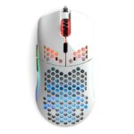 Tipos de Pegadas de mouse:  Descubra a sua e as melhores recomendações