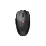 Tipos de Pegadas de mouse:  Descubra a sua e as melhores recomendações